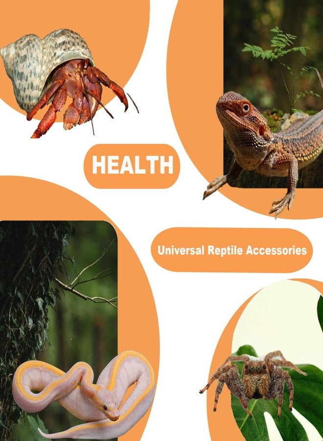 TEICCI Bearded Dragon Tank Accessories Set,10-Piece Kit Leopard Gecko Tank Accessories with Bearded Dragon Hammock, Large Reptile Bridge Hammock,Decor Suitable for Lizards, Geckos, and Chameleons - Image 5